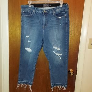 Torrid Jeans